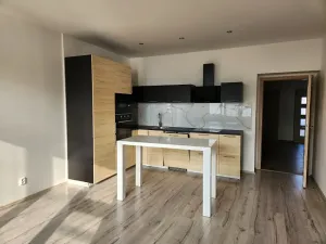 Pronájem bytu 3+kk, Praha - Žižkov, Basilejské náměstí, 93 m2