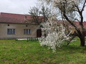 Prodej restaurace, Dívčice, 350 m2