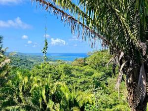 Prodej rodinného domu, Coxen Hole, Roatán, Honduras, 1452 m2