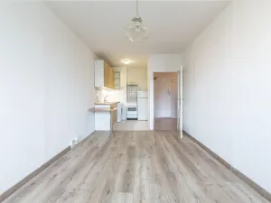 Prodej bytu 2+kk, Kladno, Holandská, 40 m2