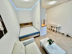 Pronájem bytu 1+kk, Brno, Trnitá, 24 m2