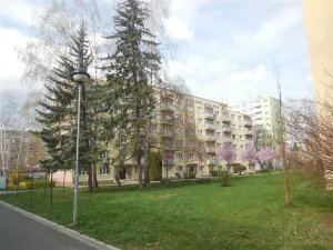 Pronájem bytu 3+1, Zlín, třída Svobody, 68 m2