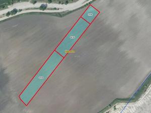 Prodej pole, Čížkovice, 7982 m2