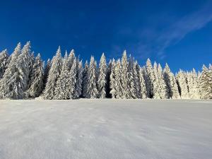 Prodej rodinného domu, Kvilda, 408 m2