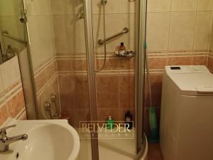 Pronájem bytu 2+kk, Teplice, Palackého, 34 m2