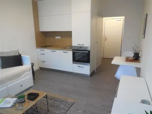 Pronájem bytu 1+kk, Zlín, 26 m2