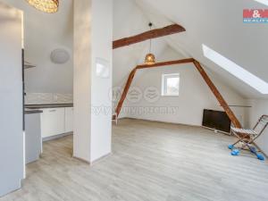 Prodej obchodního prostoru, Krupá, 170 m2