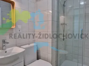 Pronájem bytu 1+1, Židlochovice, sídl. Družba, 32 m2