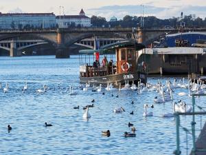 Prodej bytu 1+kk, Praha - Nusle, Bělehradská, 32 m2