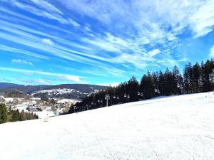 Prodej pozemku, Jestřabí v Krkonoších, 809 m2