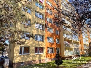 Prodej bytu 2+kk, Kolín - Kolín II, Masarykova, 40 m2