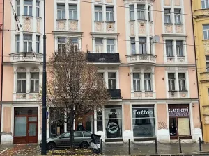 Pronájem bytu 2+kk, Praha - Nusle, Táborská, 38 m2