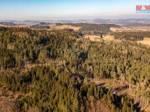 Prodej lesa, Čkyně - Onšovice, 12762 m2