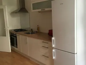 Pronájem bytu 1+1, Praha - Vinohrady, Mánesova, 45 m2