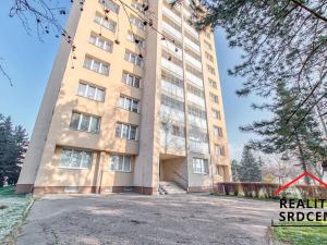 Pronájem bytu 1+kk, Karviná, tř. 17. listopadu, 25 m2