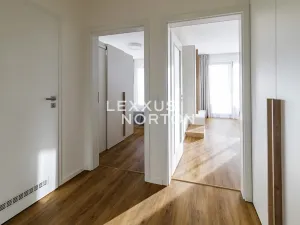 Pronájem bytu 2+kk, Praha - Karlín, Nekvasilova, 60 m2