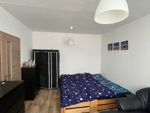 Pronájem bytu 1+1, Jihlava, Březinova, 38 m2