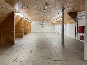 Pronájem skladu, Uherský Brod, Stolařská, 406 m2