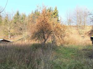 Prodej pozemku pro bydlení, Brníčko, 2038 m2