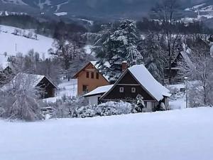 Pronájem bytu 5+kk, Vysoké nad Jizerou, K. Havlíčka Borovského, 164 m2