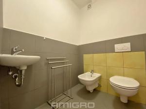 Pronájem bytu 2+1, Brno, Smetanova, 80 m2