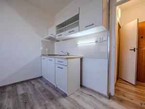 Pronájem bytu 1+kk, Frýdek-Místek, 17. listopadu, 26 m2