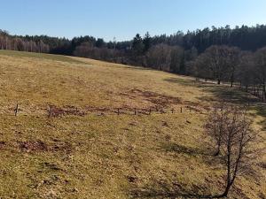 Prodej louky, Úhlejov, 46786 m2