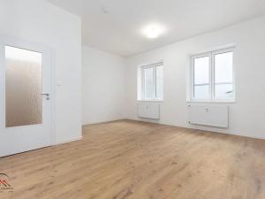 Pronájem bytu 1+kk, Ostrava, Palackého, 32 m2