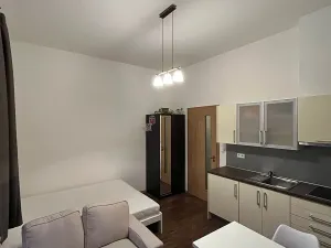 Pronájem bytu 1+kk, Praha - Žižkov, Roháčova, 24 m2