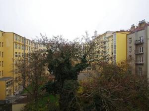 Pronájem bytu 2+kk, Praha - Vinohrady, Anny Letenské, 75 m2