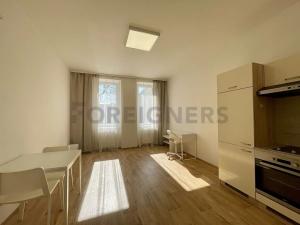 Pronájem bytu 1+kk, Brno, Bratislavská, 32 m2