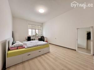 Pronájem bytu 5+1, Olomouc - Nová Ulice, Karolíny Světlé, 145 m2