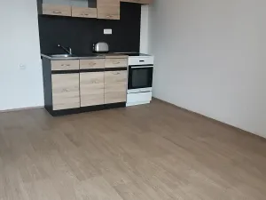 Pronájem bytu 1+kk, Chotěšov, Ořechová, 26 m2