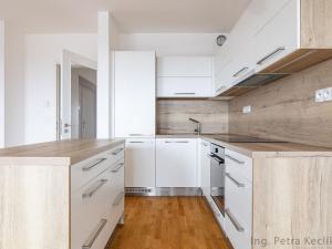 Pronájem bytu 2+kk, Brno - Zábrdovice, Francouzská, 73 m2