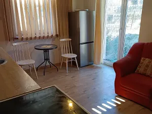 Pronájem bytu 1+kk, Luhačovice, 30 m2