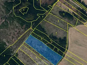 Prodej lesa, Studená, 7419 m2