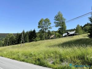 Prodej lesa, Krásná, 21600 m2