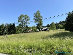 Prodej lesa, Krásná, 21600 m2