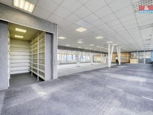 Pronájem výrobních prostor, Plzeň - Lobzy, Revoluční, 635 m2