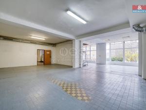 Pronájem výrobních prostor, Plzeň - Lobzy, Revoluční, 635 m2