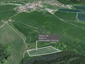 Prodej podílu pole, Černé Voděrady, 7912 m2