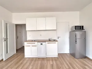 Pronájem bytu 1+kk, Praha - Bubeneč, U zeměpisného ústavu, 26 m2