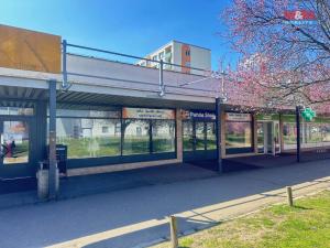 Pronájem obchodního prostoru, Mladá Boleslav - Mladá Boleslav II, Krátká, 265 m2