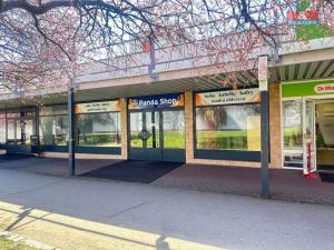 Pronájem obchodního prostoru, Mladá Boleslav - Mladá Boleslav II, Krátká, 265 m2