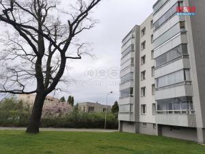 Pronájem bytu 3+1, Orlová - Lutyně, U Kapličky, 77 m2