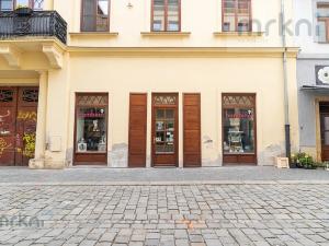 Pronájem obchodního prostoru, Šumperk, Starobranská, 160 m2