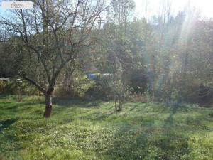 Prodej pozemku, Bělá nad Svitavou, 921 m2