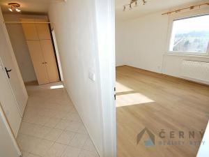 Pronájem bytu 1+1, Liberec, Bezová, 42 m2