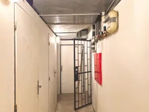Pronájem bytu 3+kk, Praha - Břevnov, Šlikova, 102 m2
