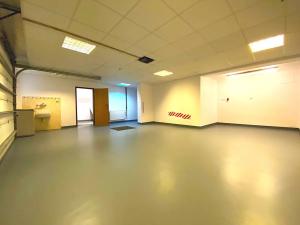 Pronájem vily, Statenice, Za Roklí, 336 m2
